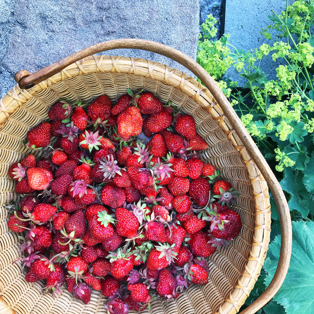 Piedaho Local Ingredients