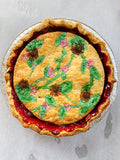 Hand Painted Raspberry Rhubarb Pie